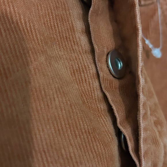 AG Adriano Goldschmied Hailey High Waist Cut Off Cord Jean Short NWT Size 26 - Picture 5 of 15